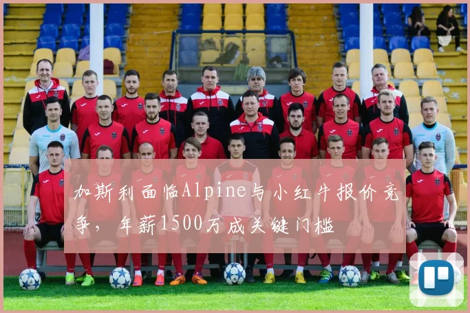 加斯利面临Alpine与小红牛报价竞争，年薪1500万成关键门槛