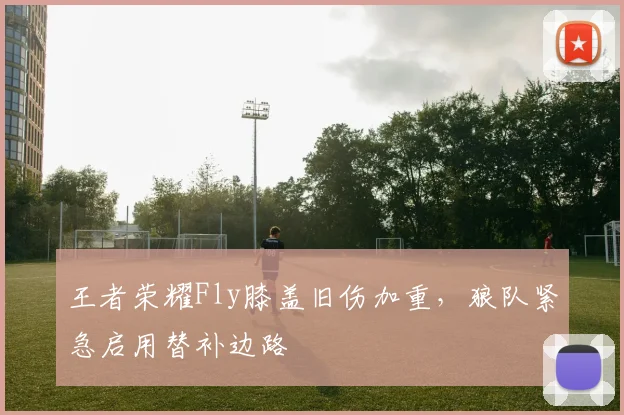 王者荣耀Fly膝盖旧伤加重,狼队紧急启用替补边路